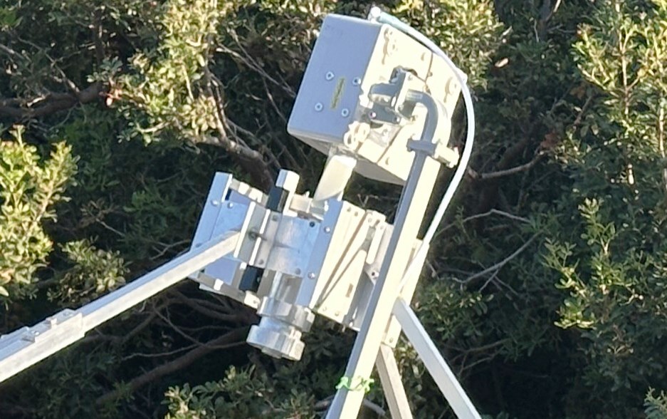 IS0 HB9COG 3 cm close up