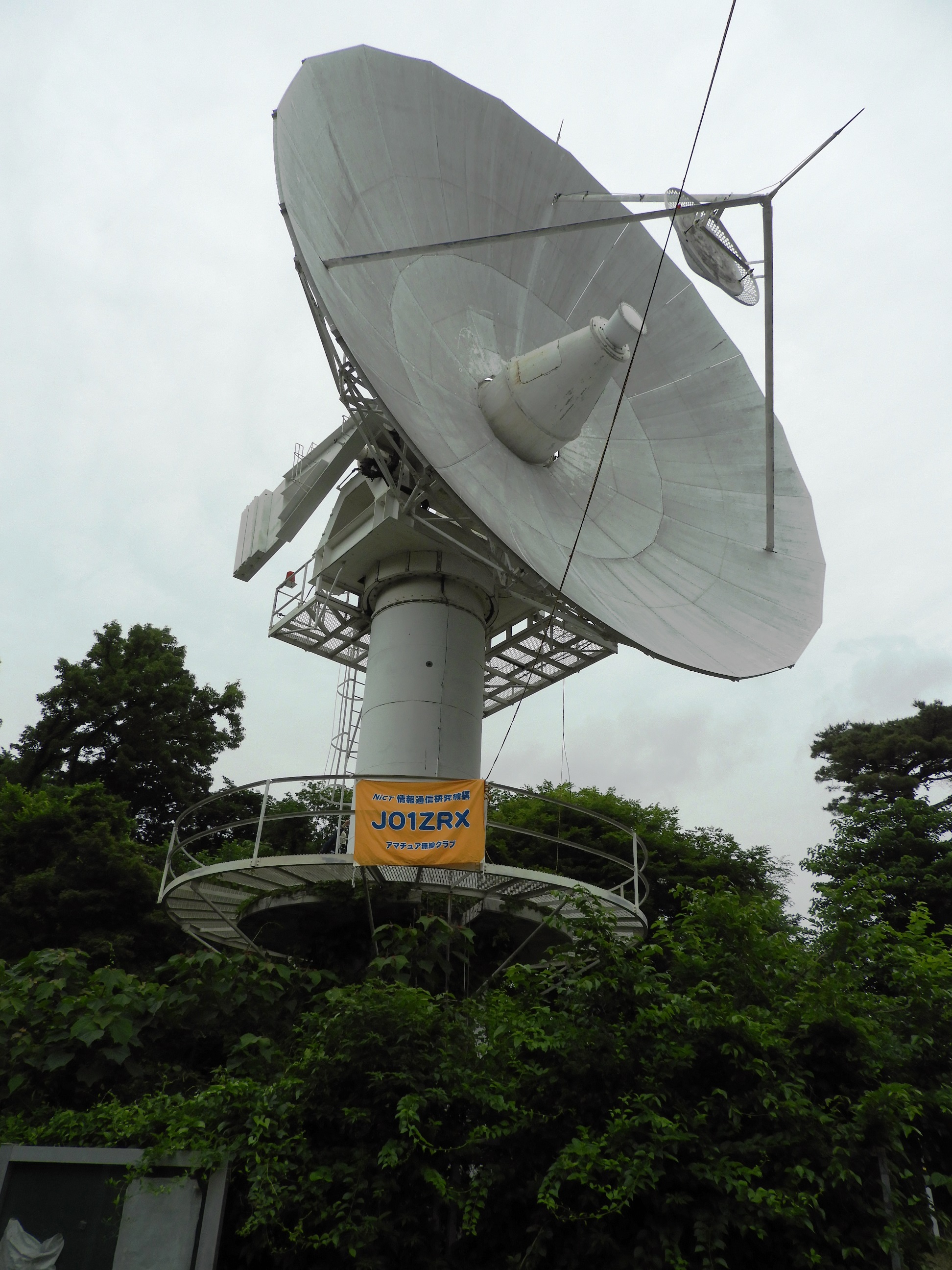JO1ZRX 11 m dish