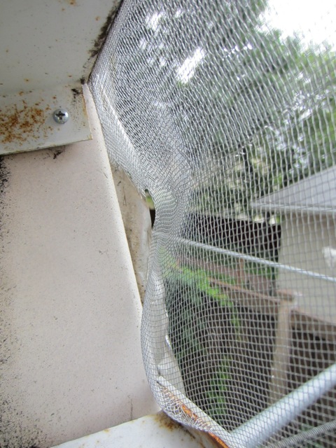 KN0WS dish mesh buckling